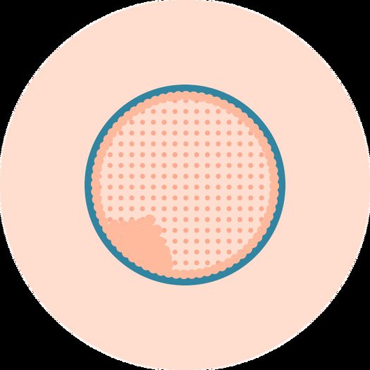 Číme se zabýváme