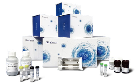 Obrazek produktu - GEXSCOPE® Single Cell RNA Library Kit